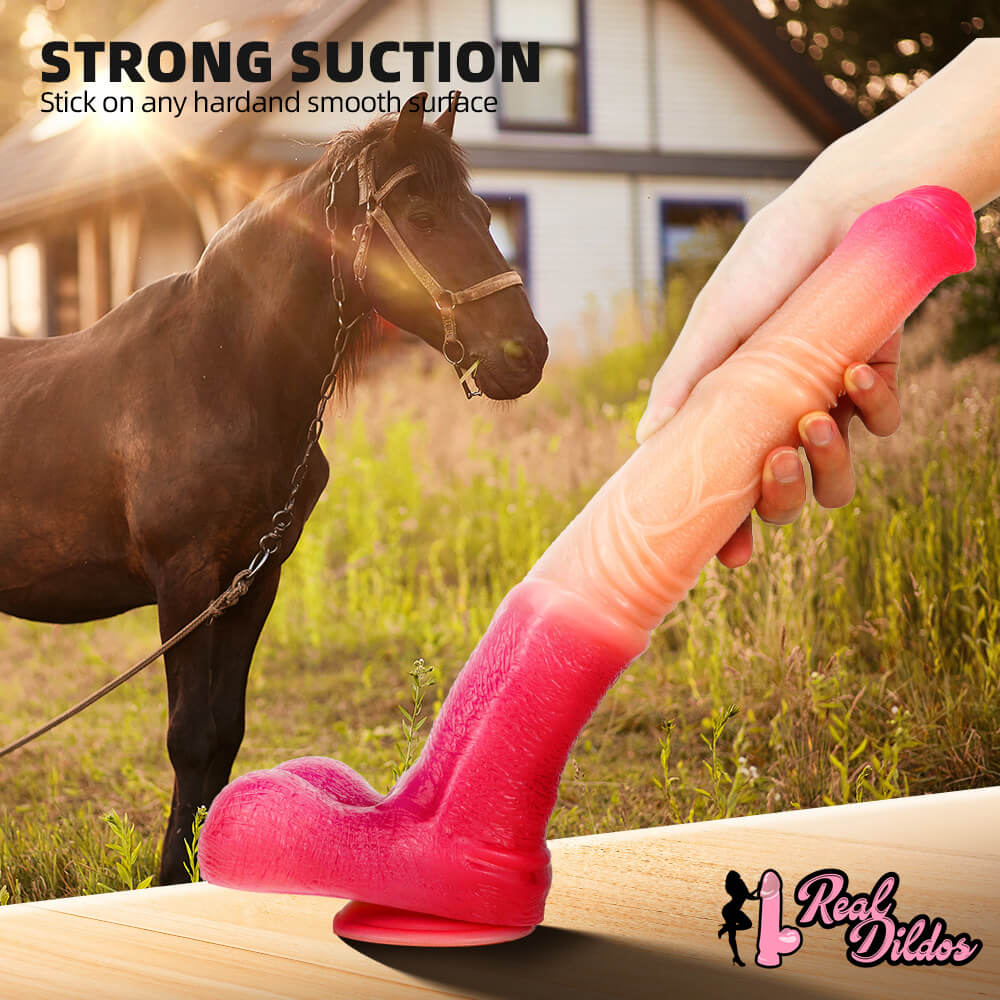 horse ombre dildo (1)